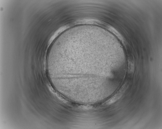 X0000085290994200703231828