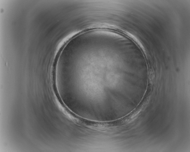 X0000085290995200703231828