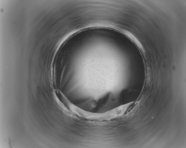 X0000085290996200703231828