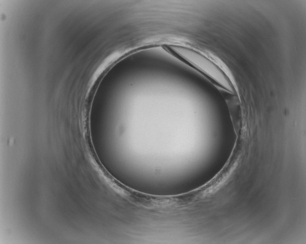 X0000085290997200703231828