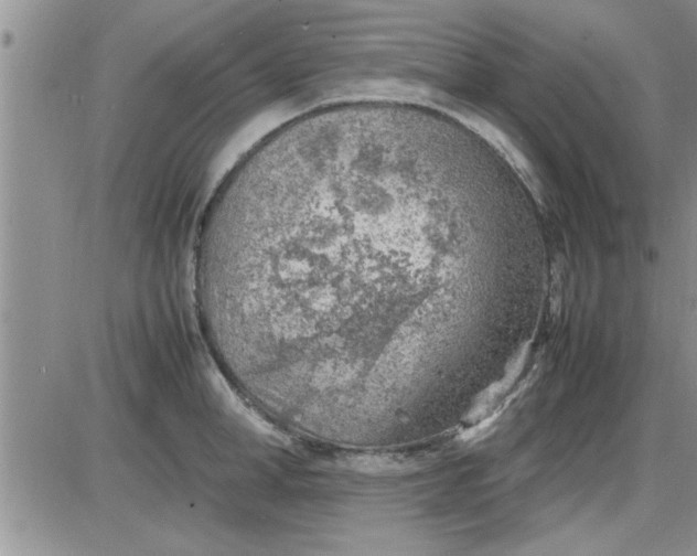 X0000085290998200703231828