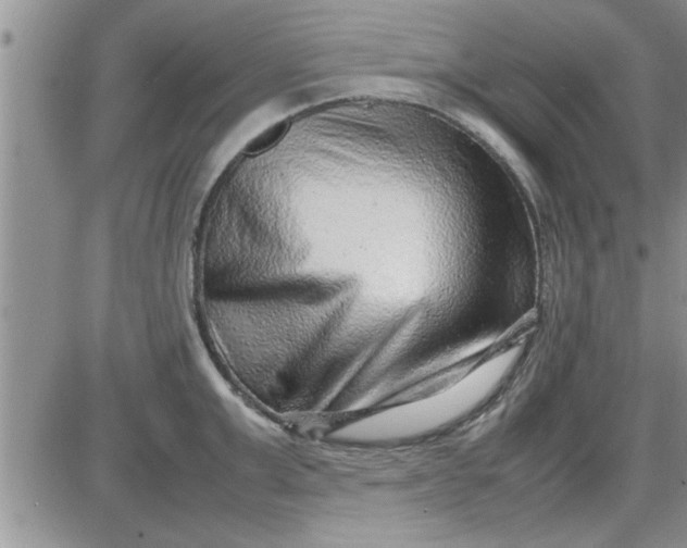 X0000085290999200703231828