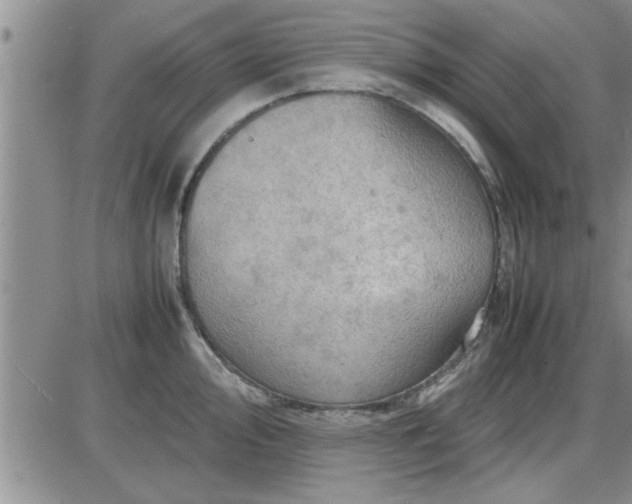 X0000085291000200703231828