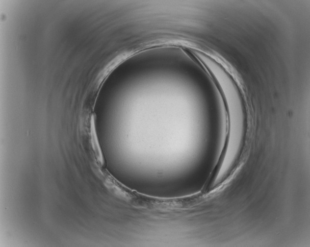 X0000085291001200703231828