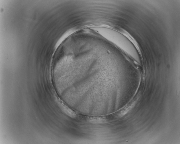 X0000085291002200703231828