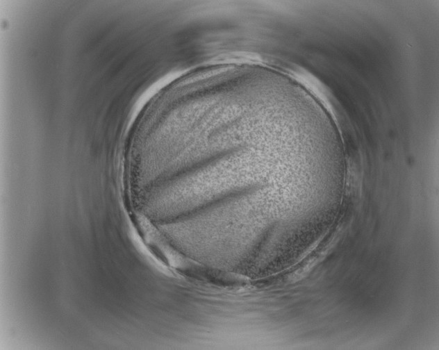 X0000085291003200703231828