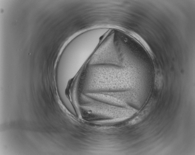 X0000085291004200703231828