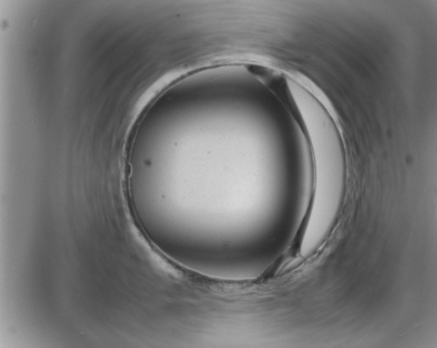 X0000085291005200703231828