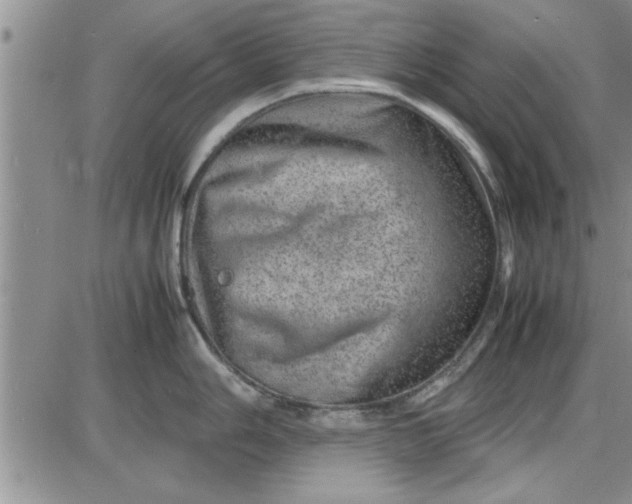 X0000085291006200703231828