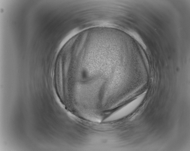 X0000085291007200703231828