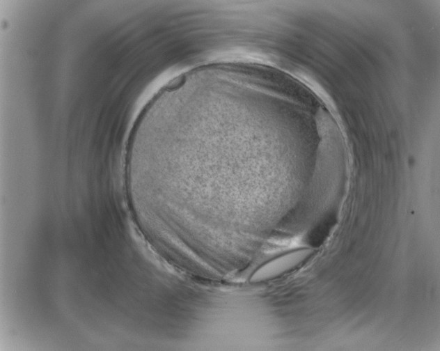 X0000085291008200703231828