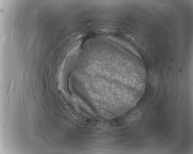 X0000085291009200703231827