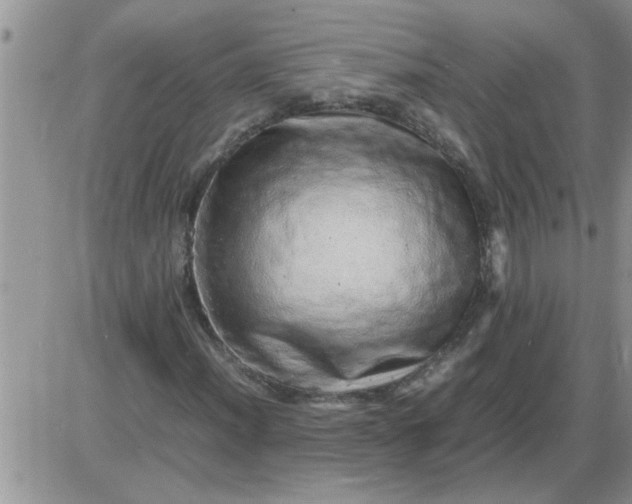 X0000085291012200703231827