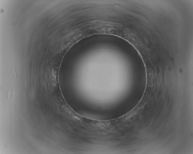 X0000085291013200703231827