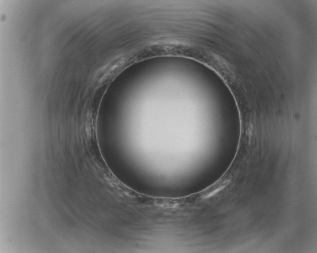 X0000085291014200703231827