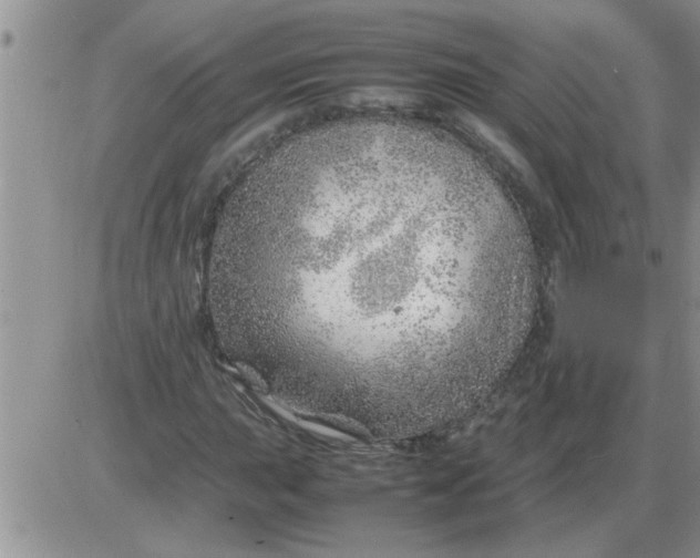 X0000085291015200703231827