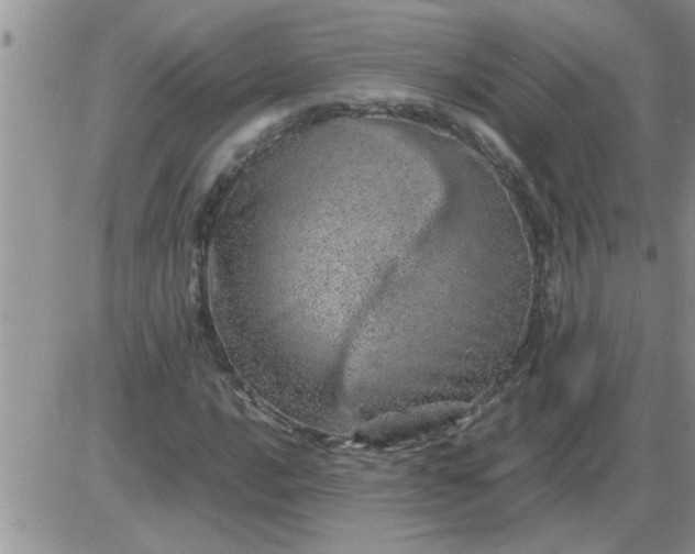 X0000085291016200703231827