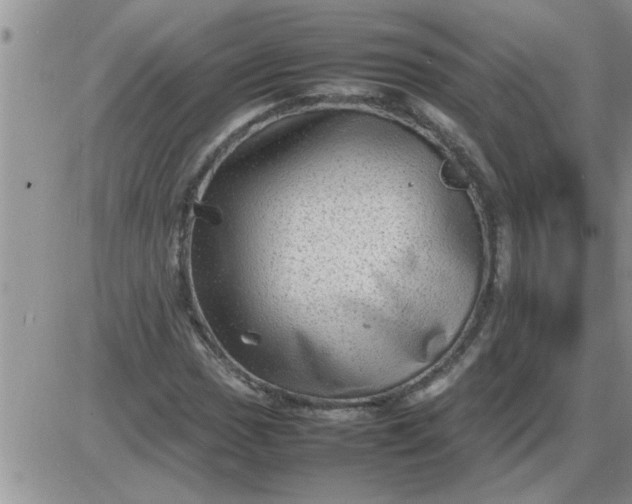 X0000085291017200703231827