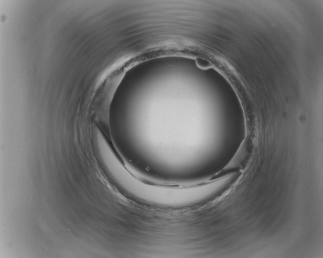 X0000085291018200703231827