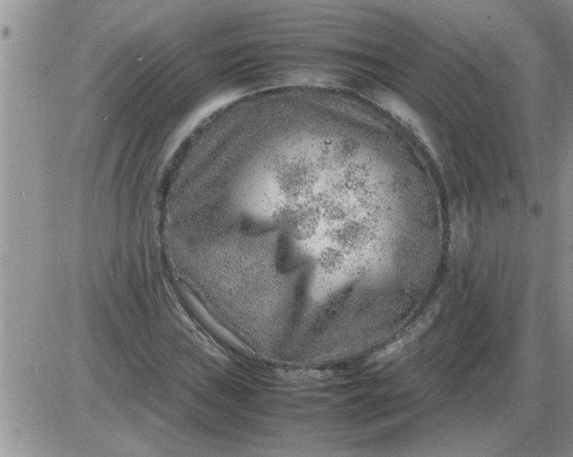 X0000085291019200703231827