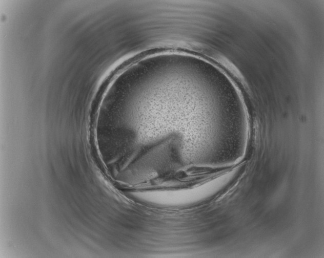 X0000085291020200703231827