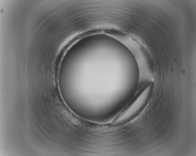 X0000085291022200703231827