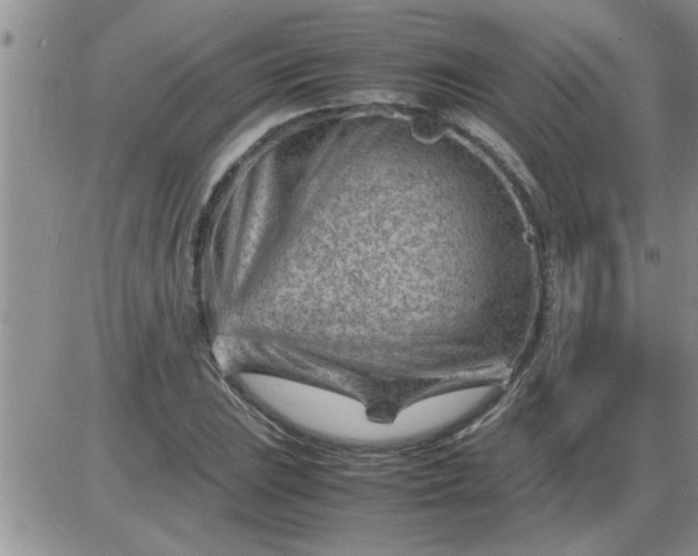 X0000085291023200703231827