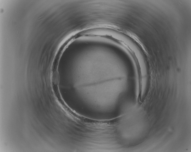 X0000085291024200703231827