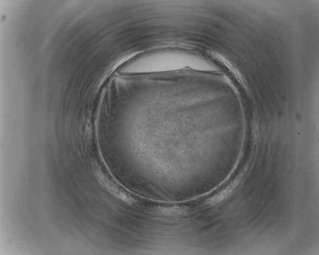 X0000085291025200703231827