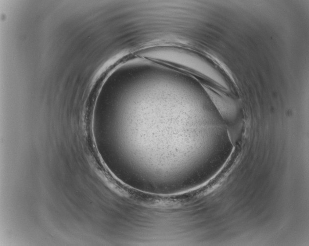 X0000085291026200703231827