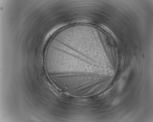 X0000085291027200703231827