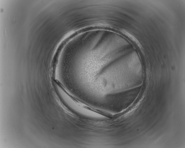 X0000085291029200703231827