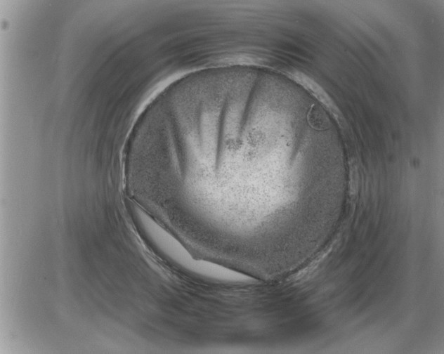 X0000085291031200703231827