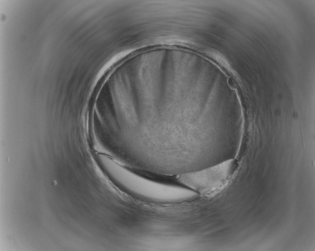 X0000085291032200703231827