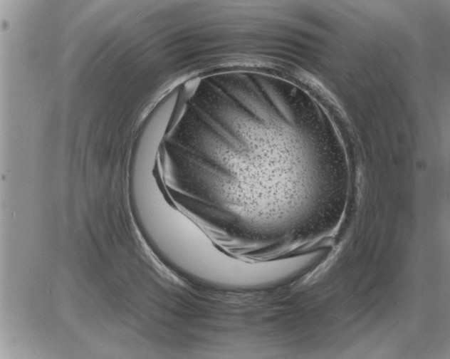 X0000085291033200703231827