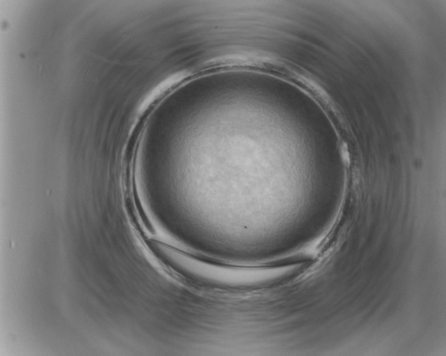 X0000085291034200703231827