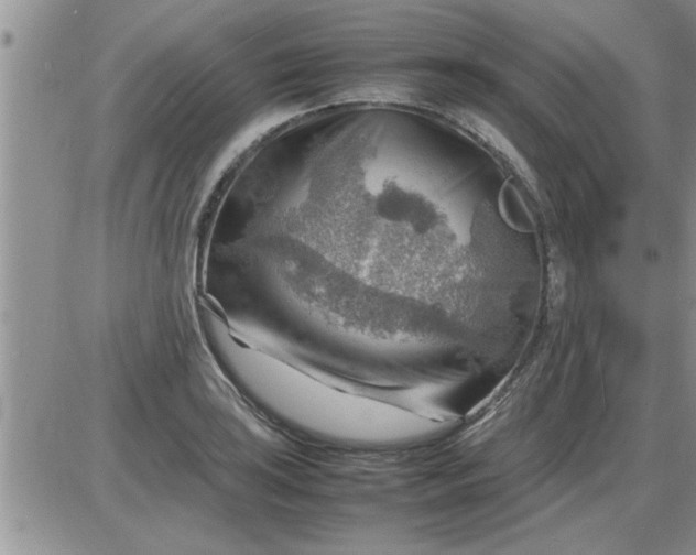 X0000085291035200703231827