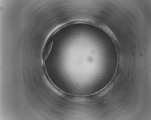 X0000085291036200703231827