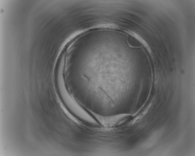 X0000085291037200703231827