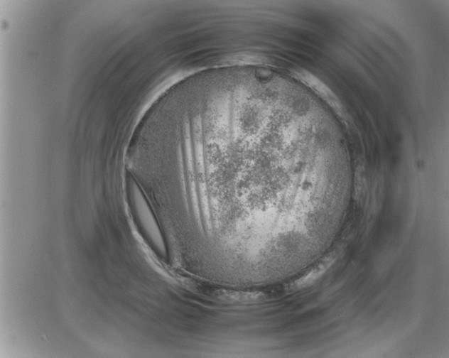 X0000085291039200703231827