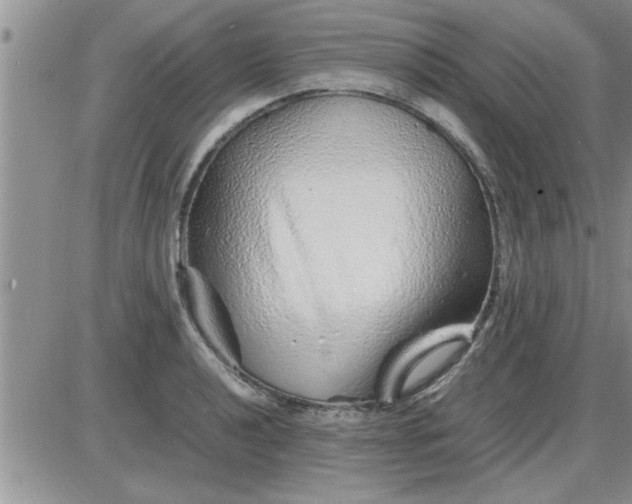 X0000085291040200703231827