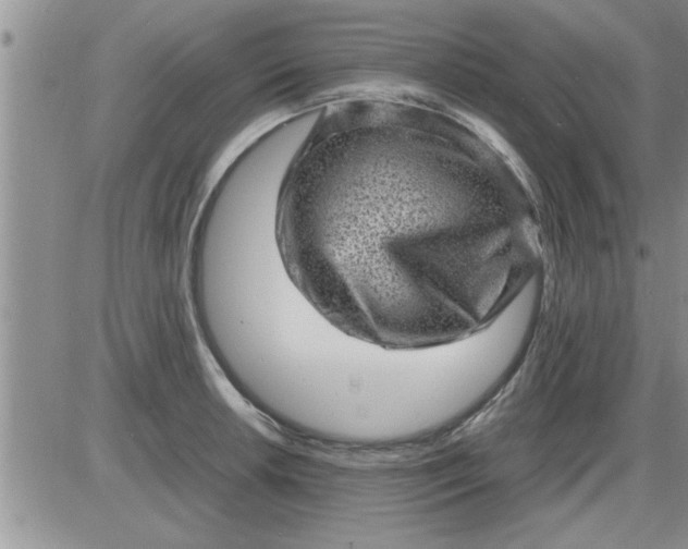 X0000085291042200703231828