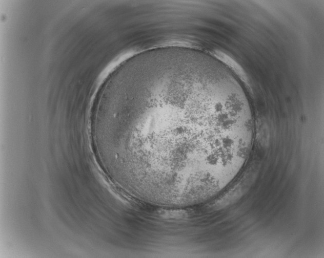 X0000085291043200703231828