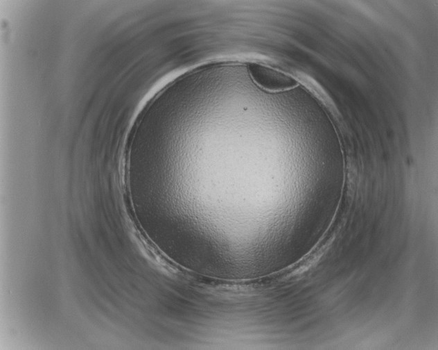 X0000085291044200703231828