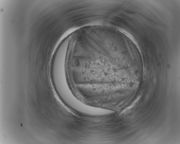 X0000085291045200703231828