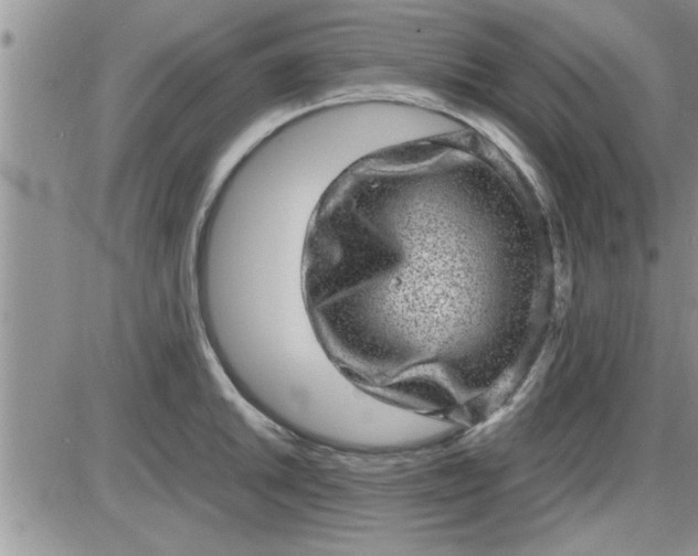 X0000085291046200703231828