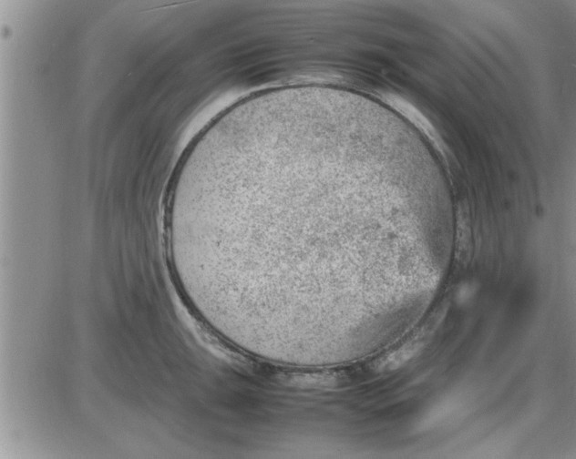 X0000085291047200703231828