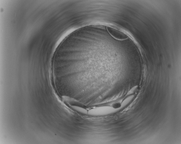 X0000085291048200703231828