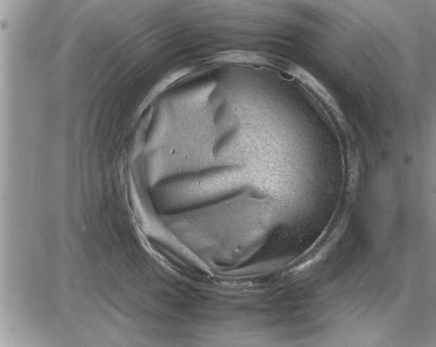 X0000085291049200703231828