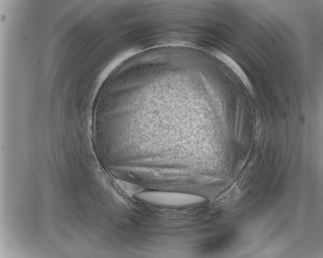 X0000085291051200703231828